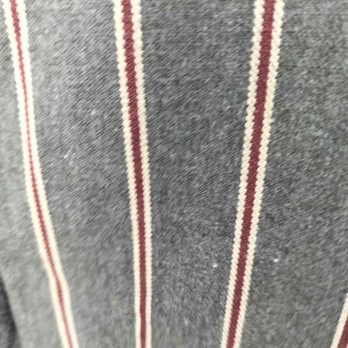 アンティカパターントルソ antiqua patterntorso ストライプ柄サロペットパンツ レディース