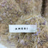 アメリ AMERI ニットシャツ レディース