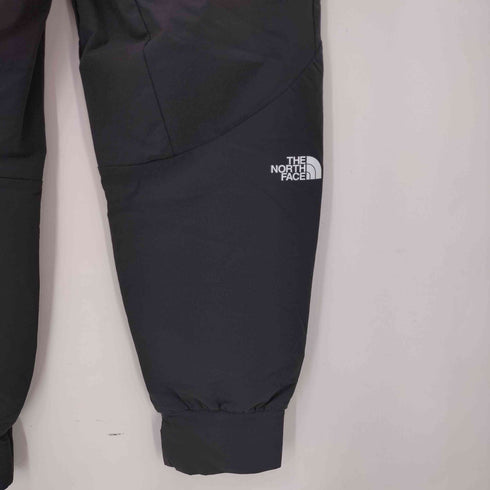 ザノースフェイス THE NORTH FACE APEX FLEX PANT メンズ JPN:L