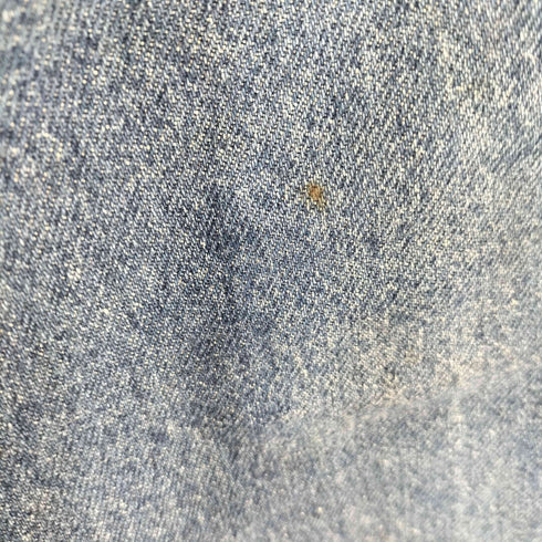リーバイス Levis MADE IN USA 510-0217 エルパソ工場 デニムパンツ ボタン裏525 メンズ W33 L33