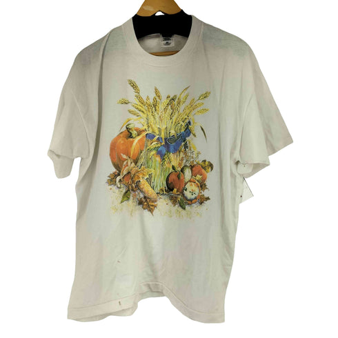 フルーツオブザルーム FRUIT OF THE LOOM 00S 絵画プリント S/S Tシャツ メンズ JPN:XL