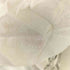 SIMEON FARRAR 汚れ加工 アニマルプリント Tシャツ メンズ import:M