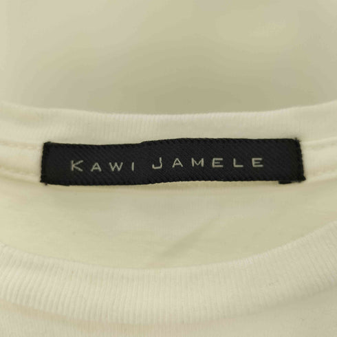 KAWI JAMELE アーティスト 星条旗 シマウマ プリント Tシャツ レディース FREE