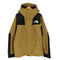 ザノースフェイス THE NORTH FACE MOUNTAIN JACKET マウンテン ジャケット パーカー GORE-TEX ゴアテックス メンズ import:L