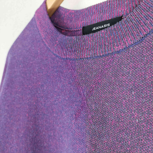 ジーナシス JEANASIS 23AW 12G Wジャガードボリュームスリーブプルオーバー レディース FREE