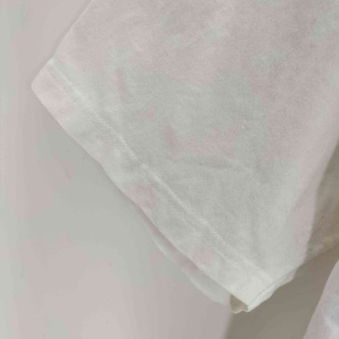 ステューシー Stussy FUZZY DICE TEE メンズ import:L