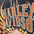 ハーレーダビッドソン HARLEY-DAVIDSON 両面プリント Tシャツ ©2014 メンズ