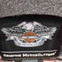 ハーレーダビッドソン HARLEY-DAVIDSON Embroidered Plaid Flannel Shirt メンズ import:M