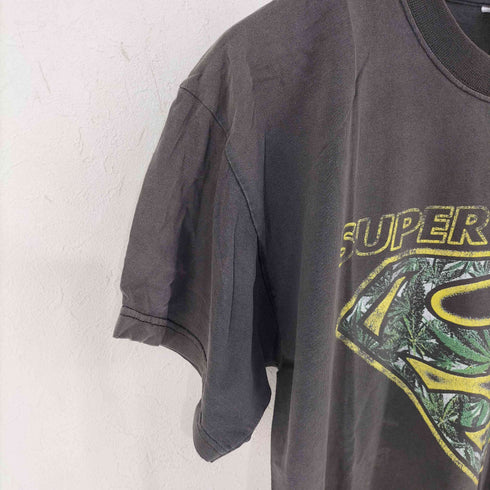 フルーツオブザルーム FRUIT OF THE LOOM フロントプリントTシャツ SUPER SKUNK メンズ import:L