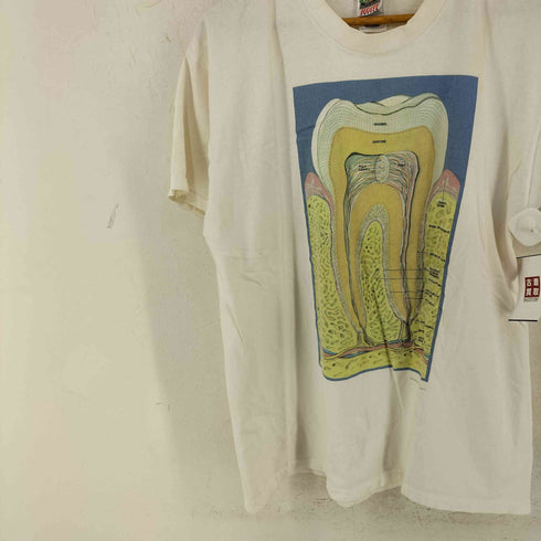 フルーツオブザルーム FRUIT OF THE LOOM フロントグラフィックプリントTシャツ アナトミカチャート社 解剖図 歯プリント メンズ import:XL