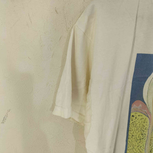 フルーツオブザルーム FRUIT OF THE LOOM フロントグラフィックプリントTシャツ アナトミカチャート社 解剖図 歯プリント メンズ import:XL