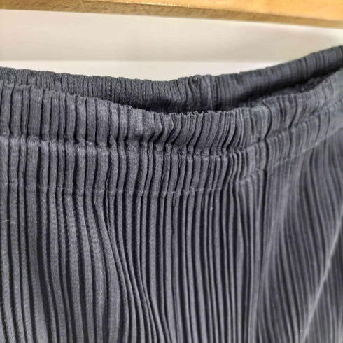 プリーツプリーズイッセイミヤケ PLEATS PLEASE ISSEY MIYAKE 00AW プリーツ ポリエステル イージー パンツ レディース JPN:3