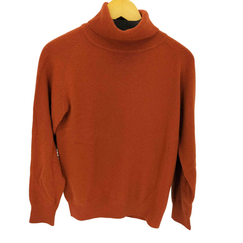 フランネル Phlannel ウール カシミヤ タートルネック ニット メンズ JPN:2