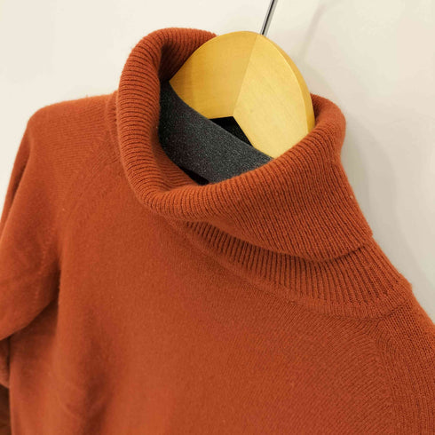 フランネル Phlannel ウール カシミヤ タートルネック ニット メンズ JPN:2