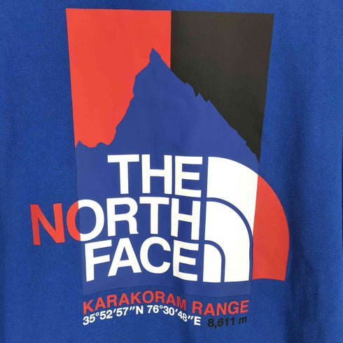 ザノースフェイス THE NORTH FACE ロングスリーブカラコラムレンジティー メンズ JPN:M