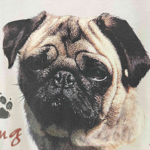 ヘインズ Hanes heavyweight 50/50 PUG Tシャツ メンズ JPN:M