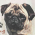 ヘインズ Hanes heavyweight 50/50 PUG Tシャツ メンズ JPN:M