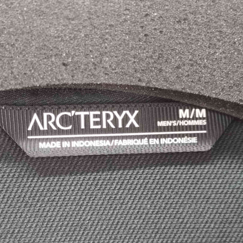 アークテリクス ARCTERYX Gamma Hoody ソフトシェルジャケット メンズ import:M