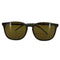 レイバン Ray-Ban RB4387 ウェリントン サングラス メンズ 55□18
