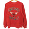 80-90s USA製 JERZEES ボディ CHICAGO バスケットボール チーム ロゴ プリント クルーネック ラグラン スウェット メンズ import:L