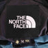 ザノースフェイス THE NORTH FACE GORE-TEX MOUNTAIN LIGHT JACKET メンズ JPN:M