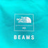 ザノースフェイス THE NORTH FACE 17AW 別注 Expedition Light Pant エクスペディションライトパンツ メンズ JPN:XS