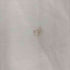 ヘインズ Hanes Rivaltees Hanes Beefy-T ALOHA メンズ import:L
