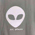 ユナイテッドスポーツ UNITED SPORTS 90S USA製 A-L galactic エイリアン 宇宙人 プリント S/S Tシャツ シングルステッチ メンズ import:M