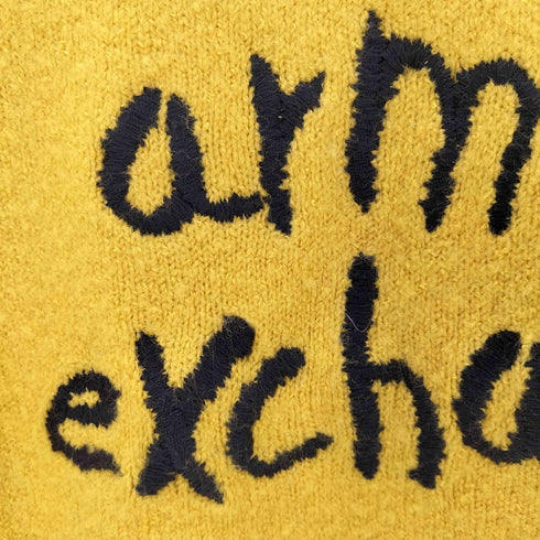 アルマーニエクスチェンジ ARMANI EXCHANGE ロゴ刺繍タートルネックニット レディース import:S