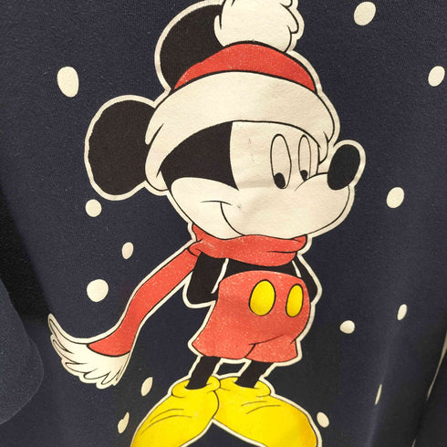 90S USA製 キャラクターラバープリントクルーネックスウェット メンズ import:XL