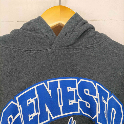ギルダン GILDAN 90-00s GENESEO SOFTBALL ロゴプリント プルオーバー パーカー メンズ XL