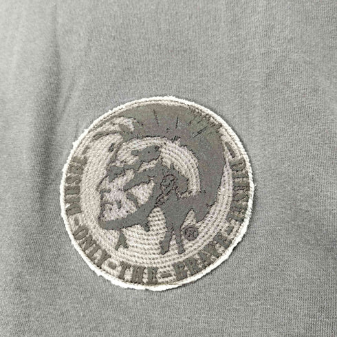 ディーゼル DIESEL BRAVE 半袖 Tシャツ メンズ import:M
