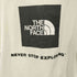 ザノースフェイス THE NORTH FACE S/S Square Logo Tee スクエアロゴバックプリントTシャツ メンズ import:XXL