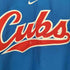 ナイキチーム NIKE TEAM ベースボールチーム ゲームシャツ ピステ メンズ JPN:L