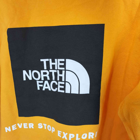 ザノースフェイス THE NORTH FACE NSE Hoodie Pullover ボックス ロゴ プリント プル―オーバー パーカー メンズ import:L