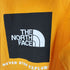 ザノースフェイス THE NORTH FACE NSE Hoodie Pullover ボックス ロゴ プリント プル―オーバー パーカー メンズ import:L