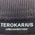 TEROKARIUS サムホール 刺し子切替スウェット メンズ JPN:XL