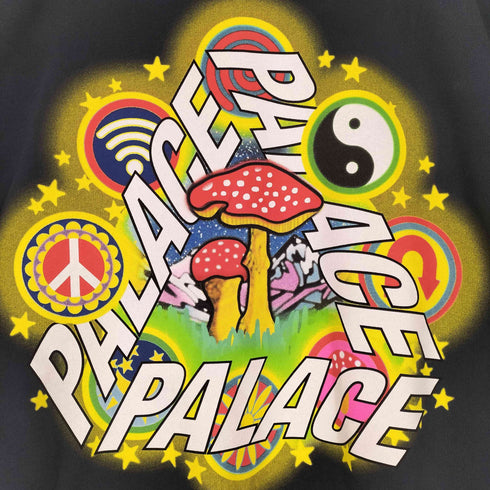 パレス PALACE 22AW BUN 5G CREW メンズ L