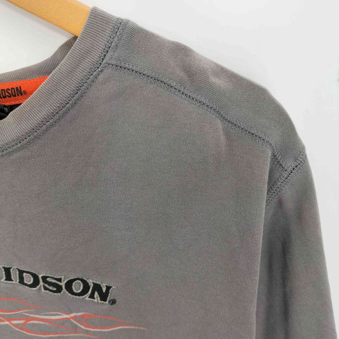 ハーレーダビッドソン HARLEY-DAVIDSON 刺繍ロゴ プリント ロングスリーブTシャツ ロンT メンズ import:L