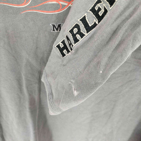 ハーレーダビッドソン HARLEY-DAVIDSON 刺繍ロゴ プリント ロングスリーブTシャツ ロンT メンズ import:L