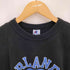 チャンピオン Champion 90S USA製 青刺繍タグ ORLANDO MAGIC カプセル 3段 カレッジプリント S/S Tシャツ メンズ import:M
