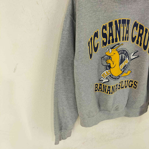 ギルダン GILDAN フロントプリントスウェット UC SANTA CRUZ BANANA SLUGS メンズ import:M