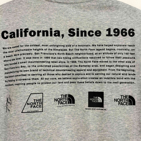 ザノースフェイス THE NORTH FACE S/S Historical Logo ショートスリーブヒストリカルロゴティー メンズ JPN:S
