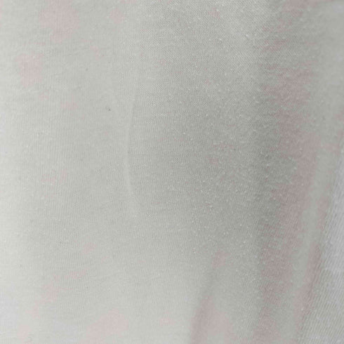 ヘインズ Hanes USA製 プリントTシャツ シングルステッチ メンズ JPN:M