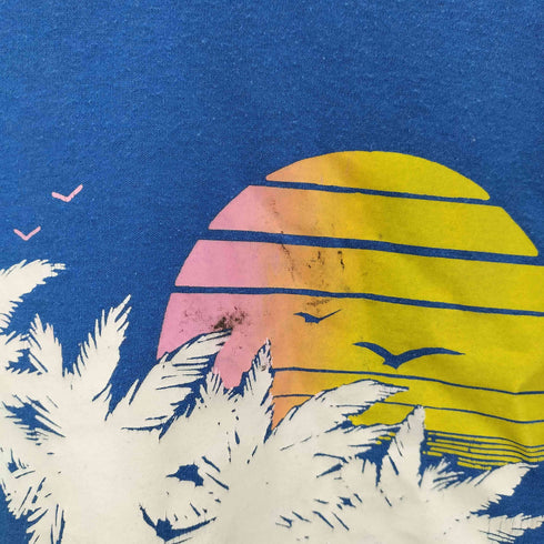 ヘインズ Hanes USA製 プリントTシャツ シングルステッチ メンズ JPN:M