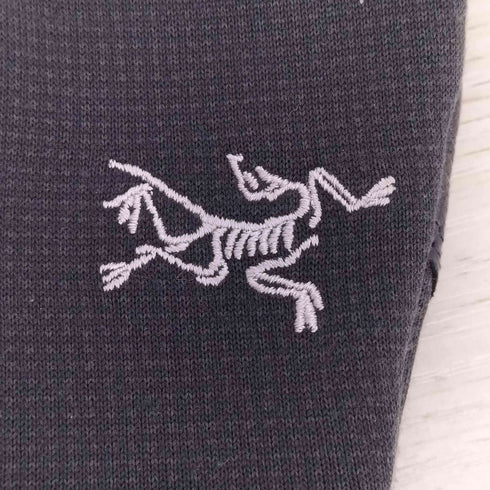 アークテリクス ARCTERYX 21年 RIVET GLOVE リベットグローブ メンズ XS