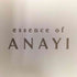 アナイ ANAYI essence of ANAYI レース 刺繍 フリル ラッフルスリーブ ブラウス レディース JPN:38
