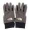 ザノースフェイス THE NORTH FACE Versa LOFT Etip GLOVE バーサ ロフト イーチップ グローブ レディース XS