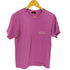 ステューシー Stussy 19SS CACTUS SKY TEE メンズ import:S
