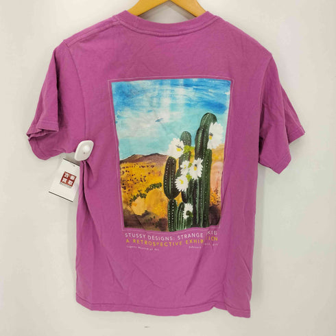 ステューシー Stussy 19SS CACTUS SKY TEE メンズ import:S